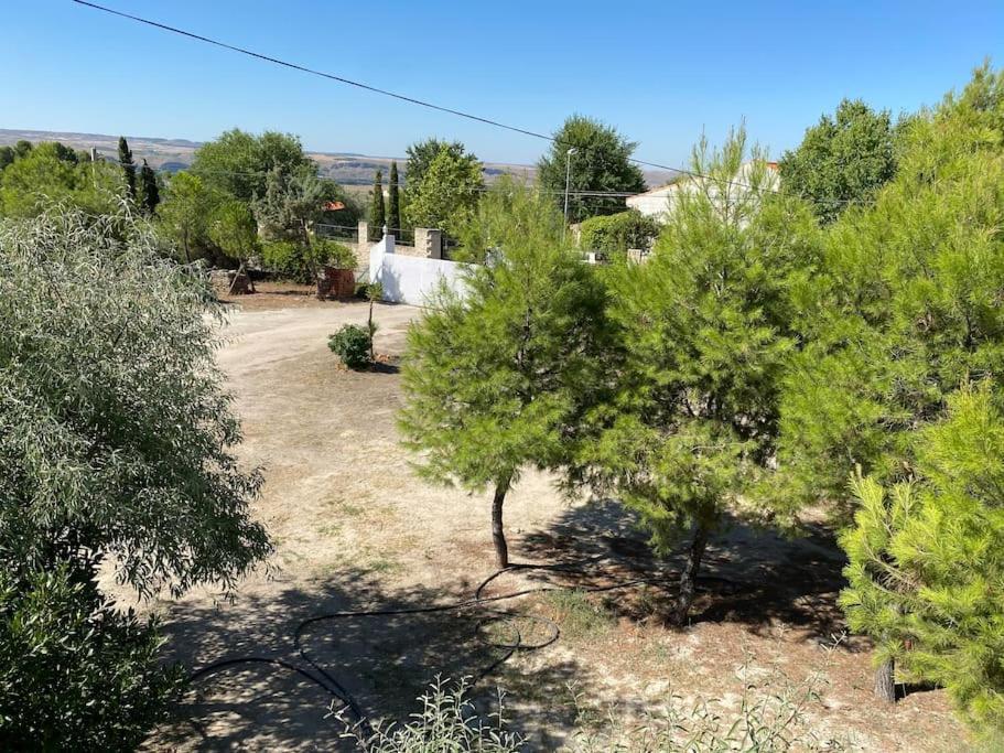 Finca Los Nardos De Miraltajo Colmenar de Oreja Εξωτερικό φωτογραφία